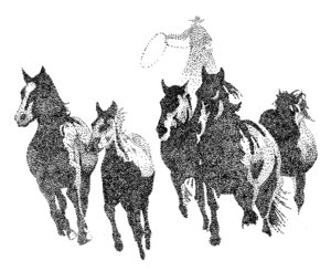 Go Along for the Ride