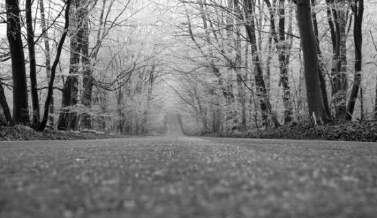 Long Lonely Road Long Lonely Road