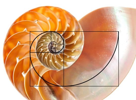 natural fibonacci sequences